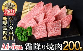 ＜A4・A5等級＞鹿児島県産黒毛和牛 うしの中山 霜降り焼肉用200g a2-113