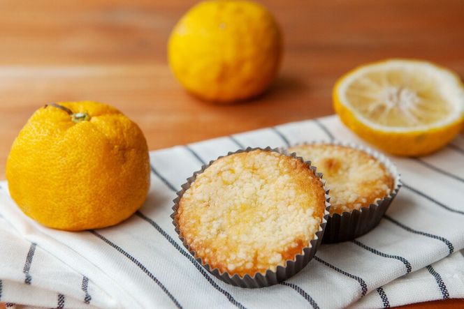 ゆずショコラ & 人気タルト 10個 セット [コヤマ菓子店 宮城県 気仙沼市 20565135] 菓子 焼き菓子 ゆず 柚子 タルト 個包装 詰め合わせ