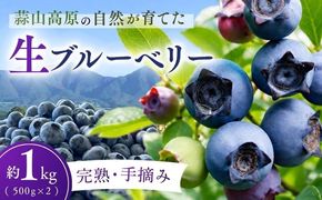 【2026年7月中旬～順次発送】 蒜山高原 ブルーベリー 約 1kg ( 500g 2パック ) 生ブルーベリー 国産 岡山県真庭市 朝採れ 甘い 果物 フルーツ ブルーベリー園 カルチベートガーデン 冷蔵 産地直送 くだもの 新鮮 スムージー ジュース ヨーグルト ジャム 国産 新鮮 ブルーベリー 甘い 岡山県 真庭市 送料無料 数量限定 【kbkb001-01】