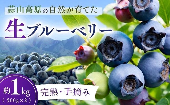 【2026年7月中旬～順次発送】 蒜山高原 ブルーベリー 約 1kg ( 500g 2パック ) 生ブルーベリー 国産 岡山県真庭市 朝採れ 甘い 果物 フルーツ ブルーベリー園 カルチベートガーデン 冷蔵 産地直送 くだもの 新鮮 スムージー ジュース ヨーグルト ジャム 国産 新鮮 ブルーベリー 甘い 岡山県 真庭市 送料無料 数量限定 【kbkb001-01】