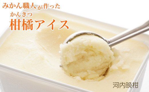 みかん職人が作った柑橘アイス1000ml×2種（愛媛みかん・河内晩柑）