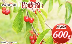 先行受付 北海道 仁木町産 さくらんぼ 佐藤錦 600g (300g×2パック) Lサイズ以上  旬 桜桃 産地直送 サクランボ チェリー フルーツ 果物 果物類 仁木町 仁木 [松山商店]