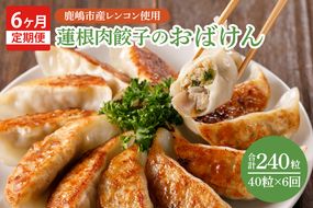 【6ヶ月定期便】蓮根肉餃子のおばけん【40粒×6回】【野菜 ギョーザ れんこん しゃきしゃき おいしい ストック 茨城県 鹿嶋市】（KBU-26）