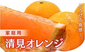 ＜2月より発送＞家庭用 清見2.5kg+250g（傷み補償分）【光センサー食頃出荷】【樹上完熟きよみオレンジ・清見タンゴール・清美】【わけあり・訳あり】【ikd199B】