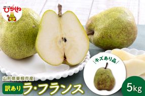 【令和7年産 先行予約】山形 ラ・フランス 家庭用（訳あり）5kg 山形県 東根市 hi069-012-2
