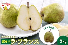 【令和8年産 先行予約】山形 ラ・フランス 家庭用（訳あり）5kg 山形県 東根市 鈴木農園提供 hi069-020