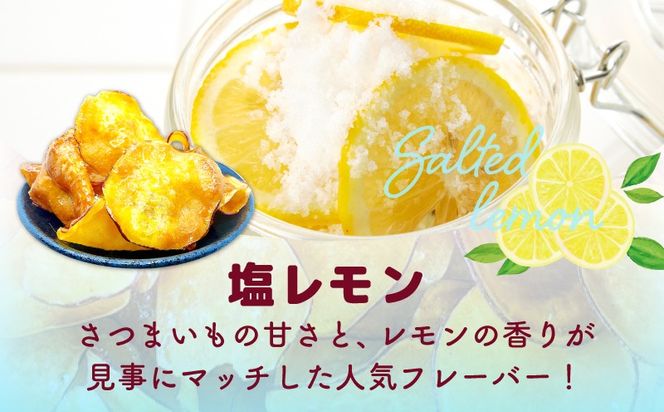 010B1853-1 さのやチップス（塩レモン味）140g×4P 芋匠さのや 人気メニュー