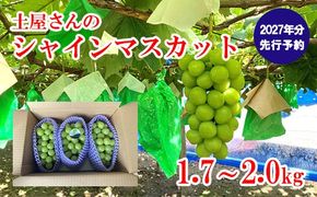 【2027年発送分 先行予約】土屋さんのシャインマスカット(1.7～2.0kg 3～4房) シャイン マスカット 富士川町産 産地直送 フルーツ 果物 くだもの ブドウ ぶどう 葡萄 やまなし 山梨 先行受付
