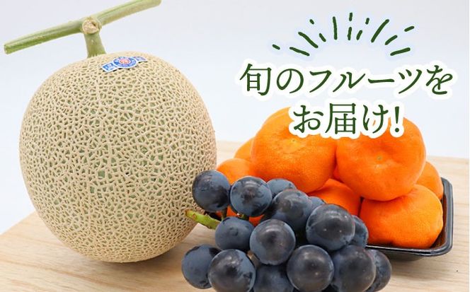 【12回定期便】＜2026年1月～初回発送＞季節の果物 詰め合わせ フルーツセット 旬の果物をお任せで2〜3品目お届け (2〜3品目×12回) / 果物 セット 南島原市 / 吉岡青果 [SCZ014]