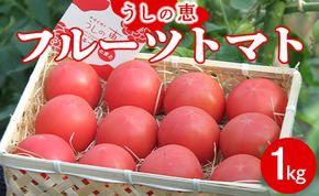 野菜ソムリエが育てた うしの恵 フルーツトマト籠入り1kg mj-0035