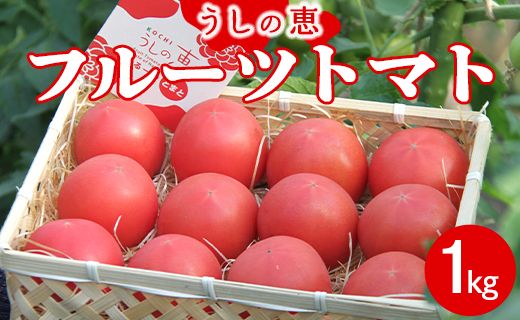 野菜ソムリエが育てた うしの恵 フルーツトマト籠入り1kg mj-0035