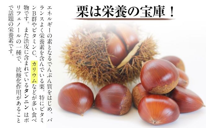 【先行予約】生栗 熊本県御船町産限定 約1kg 約2kg(2L-Lサイズ) 期間限定 野菜 予約 スイーツ きんとん 甘露煮 渋皮煮 栗ご飯 熊本県御船町《9月上旬-9月下旬頃出荷》---mifune_lcl_199_1---
