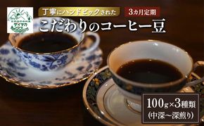 【3ヵ月定期便】丁寧にハンドピックされたこだわりのコーヒー豆100g×3種類(中深～深煎り)【豆】  珈琲 コーヒー豆 珈琲豆 豆 焙煎 自家焙煎 セット