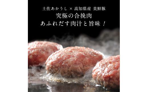 CDM003　 創業50年老舗レストランの幻の和牛あかうしハンバーグ130g×5コ（ソース無し）人気惣菜 数量限定 牛肉 豚肉  故郷納税 10000円 焼くだけ 溢れる肉汁 土佐あか牛 ハンバーグ 小分け 緊急支援品 