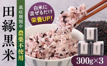 [先行受付]田縁黒米(でんえんくろまい)300g×3パック[2025年11月下旬以降順次発送] 糸島市 / NPO法人田縁プロジェクト 古代米 黒米 米 ご飯 [ATM003] 黒米 玄米 栄養豊富 古代米 薬膳 天日干し 米 お米 真空 ちょい足し 新米