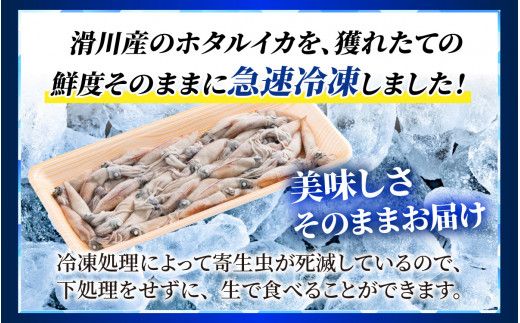 生ホタルイカ急速冷凍とオリジナル万能酢味噌付き【カネツル砂子商店】 [A-002012]