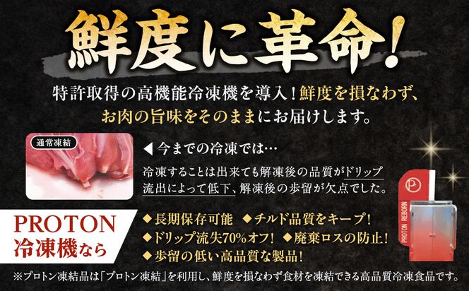 純系名古屋コーチン　ムネ切り身 500g（125g×4パック） 232238_DL002