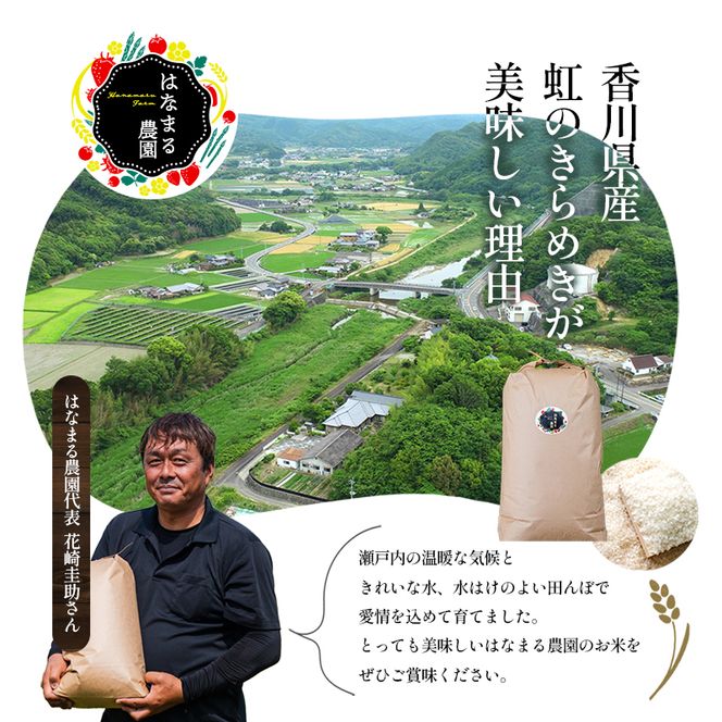 米 お米 虹のきらめき 令和8年産 10kg 精米 要精米 大粒 もっちり 粘り 甘み 食べ応え おにぎり ご飯 主食 にじのきらめき ライス 食卓 家庭用 自宅用 お取り寄せ はなまる農園 香川県 東かがわ市◆46312689 