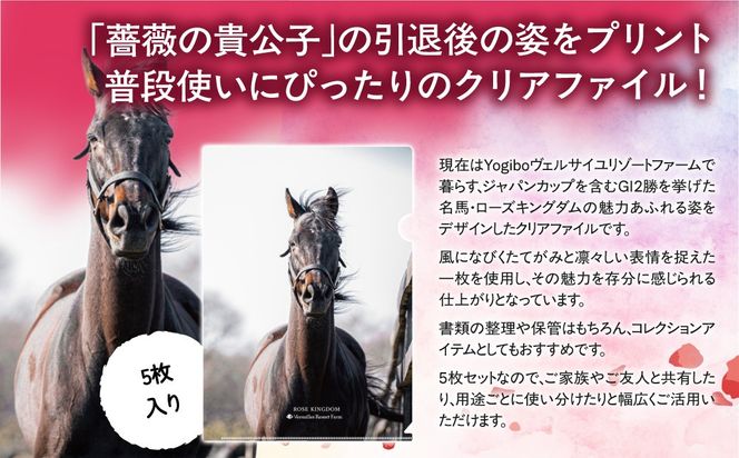 【ローズキングダム】クリアファイル 写真5枚入り BRTV255