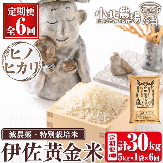 isa602 《数量限定・6回定期便》令和7年産 小北農場のお米 伊佐黄金米〈ヒノヒカリ〉(計30kg・5kg×1袋×6回) 鹿児島 伊佐 お米 特別栽培米 伊佐米 白米 ヒノヒカリ ひのひかり おにぎり ごはん 【小北農場】