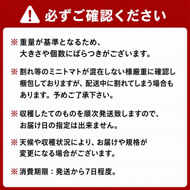 [2026年発送][栽培期間中 農薬・化学肥料不使用] 北海道 仁木町産 ミニトマト エコスイート 1.2kg×2箱 サイズ混載 トマト野菜 やさい  [Farm Watanabe]