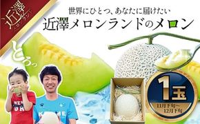 【先行予約】先行予約 メロン 1玉入（約1.4kg～1.8kg）青肉 〈2026年11月下旬～12月末頃発送〉 メロン めろん マスクメロン 舐瓜 果物 くだもの フルーツ デザート 旬 ハウス栽培【株式会社とさもん】[BQAE022]