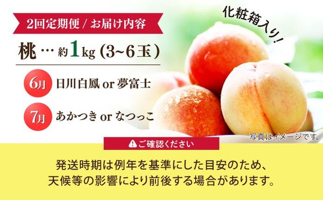 【2026年6月〜発送】【2回定期便】南島原の桃を食べ比べ 化粧箱入り 計2kg 日川白鳳 夢富士 あかつき なつっこ / 桃 もも ハウス桃 フルーツ 果物 / 南島原市 / ふくはちファーム[SBS001]