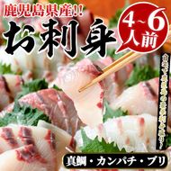 厳選お刺身BOX(4～6人前) 国産 お刺身 魚貝 魚介 鯛 カンパチ ブリ 海産物 刺身 おつまみ セット 【さるがく水産】akn028-16