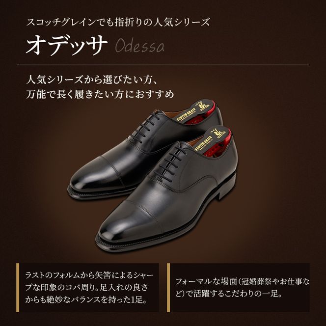 スコッチグレイン ビジネスシューズ メンズ オデッサ 916 ストレートチップ 革靴 本革 日本製 E 送料無料 ギフト