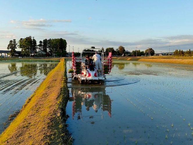 【6ヶ月定期便】富山県滑川産 弱アルカリ性米「ピロール農法米 コシヒカリ」与文のお米 （精米5kg）×6回 計30kg [J-050001] / 産地直送 こしひかり おにぎり お米 白米 国産 ご飯 ごはん 滑川市 ピロール アグリめぐみ 頒布会 定期便 [J-050001]