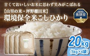 山の湧き水 寒暖差 山里 山里の米･坪野米 R7年産 環境保全米こしひかり 20kg　※北海道・沖縄・離島への配送不可　※2025年9月下旬～2025年10月中旬頃に順次発送予定