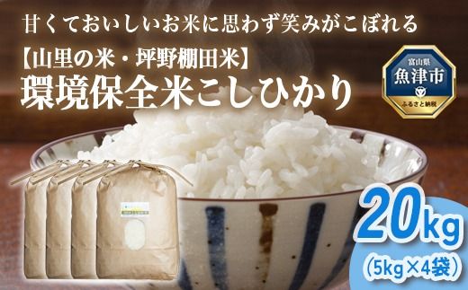 山の湧き水 寒暖差 山里 山里の米･坪野米 R8年産 環境保全米こしひかり 20kg　※北海道・沖縄・離島への配送不可 ※2026年10月～発送
