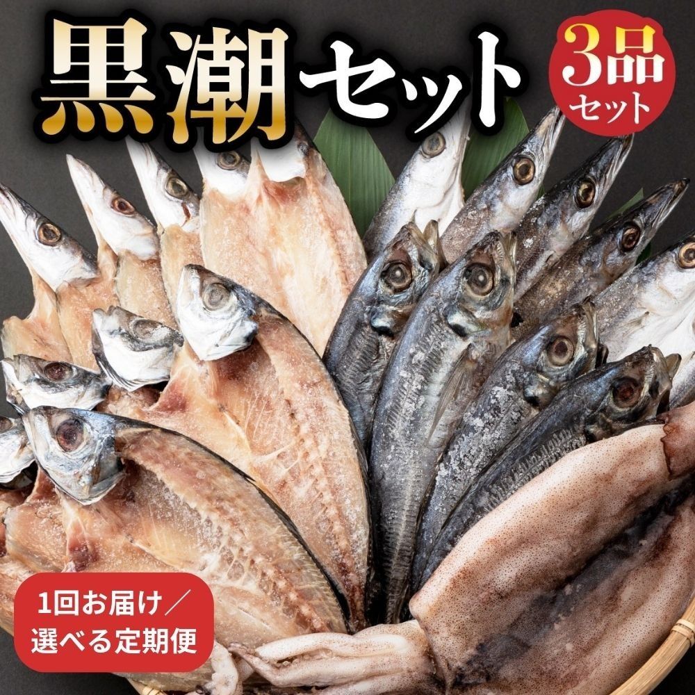 黒潮 干物 定期便 11枚セット|アジ・カマス・スルメイカ|高知県室戸市 冷凍90日目安 偶数6回/奇数6回/毎月12回