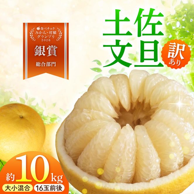 【先行予約】本場、高知県土佐市産！土佐水谷農園の露地土佐文旦 家庭用10キロ 10kg 大小混合（L～上限なし：16玉前後）〈2027年1月20日～発送〉 訳あり 文旦 柑橘 フルーツ【土佐水谷農園】 [BQBD004]