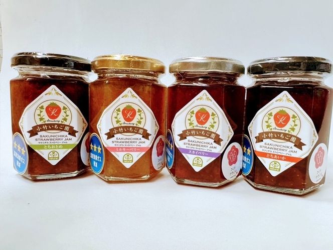 【SAKUNICHIKA】さくらブランド6種ギフトセット｜とちあいか とちおとめ スカイベリー ミルキーベリー 栃木県 さくら市 イチゴ 苺