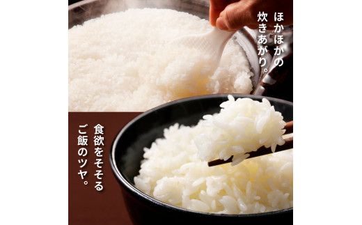 ★令和7年産 新米★四国一小さなまちの田野米  20kg（5kg×4袋）～精米・白米～