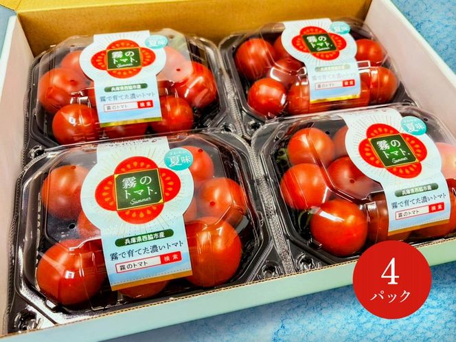 【霧で育てた濃厚な味】霧のトマトSummer 200ｇ×4パック（06-51）