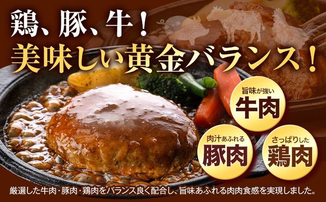 ハンバーグ 大容量！たっぷり 23個 入り 《60日以内に出荷予定(土日祝除く)》冷凍 大容量 23個 あか牛 国産 肉 牛肉 豚肉 鶏肉 クール便 温めるだけ 小分け 簡単 調理 特製 惣菜 デミグラスソース 湯煎 人気 子供 熊本県 玉東町---gkt_fthnbg_60d_24_10000_23k---