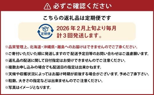 【3ヶ月定期便】 あまおう 2パック×3回 （計6パック） 【2026年2月上旬～4月上旬発送予定】 いちご イチゴ 果物 果実 フルーツ 福岡県 太宰府市 冷蔵