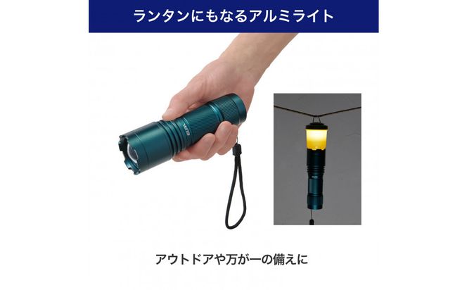 大光量アルミライト1000LM　DOP-EP1000 272183_AZ170