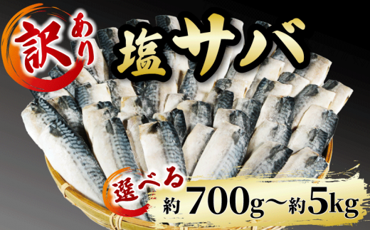 訳あり 塩サバ 約700g~約5kg 冷凍 大容量 鯖 塩 さば 塩鯖 塩さば 魚 海鮮 海産物 おかず ご飯 おすすめ ギフト 贈答 切り身 不揃い サバフィーレ 鯖フィーレ フィーレ 焼き魚 人気 愛知県 南知多町 【配送不可地域：離島】