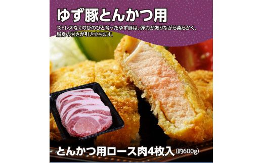 【CF-R7hbk】GRS005　【高知のブランド豚/ゆず豚】二刀流セット（しゃぶしゃぶ＆とんかつ）約1.1kg - しゃぶしゃぶ 豚しゃぶ 豚バラ ロース 豚バラスライス トンカツ 豚 カツ 豚肉 国産 ロースとんかつ 詰め合わせ ギフト・熨斗対応可 贈答