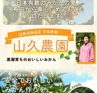 有田みかん 小粒ちゃん 約7.5kg_ZP6102n