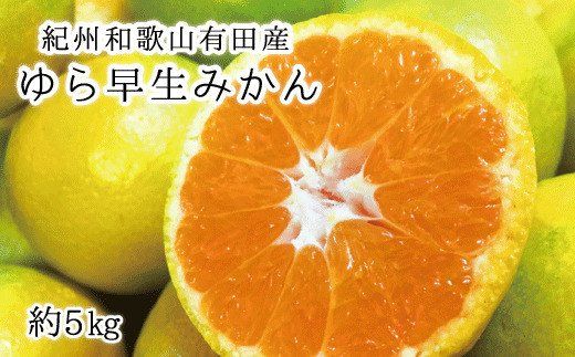【先行予約】紀州和歌山有田産ゆら早生みかん 5㎏ ※2026年10月下旬頃〜11月上旬頃順次発送（お届け日指定不可）【uot721】