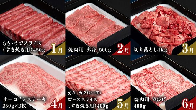 ＼ 選べるスタート月 ／ 【定期便】【全12回】『常陸牛』人気12か月堪能セット 牛肉 肉 お肉 国産 国産牛 ヒレ ステーキ ハンバーグ サーロイン 赤身 切り落とし 霜降り カルビ すき焼き しゃぶしゃぶ 和牛 黒毛和牛 (茨城県共通返礼品) [BX20-111-NT]