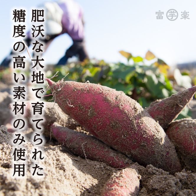 【先行予約】濃味熟成 干し芋 800g 紅はるか 12月以降発送 無添加 平干し 冷蔵 箱詰め 大洗産 茨城県産 国産 濃厚 熟成 干しいも ほし芋 ほしいも 芋 茨城 平ぼし べにはるか さつまいも お菓子 和菓子 スイーツ