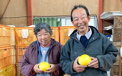 土佐文旦　家庭用5kg（池上果樹園）