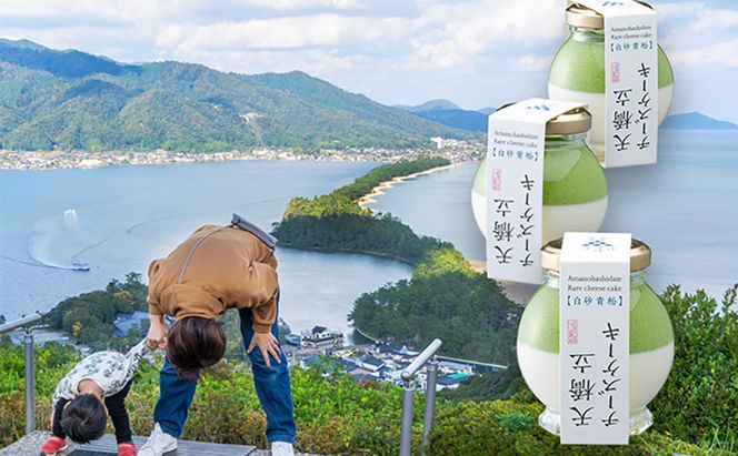 天橋立チーズケーキ 3個セット お菓子 チーズケーキ 洋菓子 スイーツ 乳製品 レアチーズ 天橋立 抹茶 磯野開化堂 チーズ 京都 濃厚