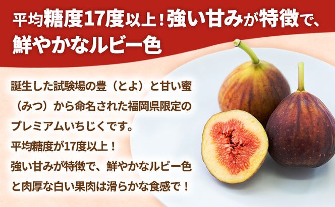 いちじく 福岡限定!ブランド いちじく「とよみつひめ」約300g×4パック 無花果 フルーツ 果物 ※配送不可:離島