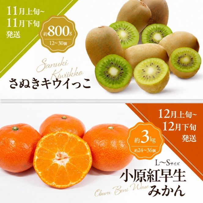 少しがうれしい讃岐のフルーツ定期便（全8回）【香緑キウイ】【さぬきひめ苺】【デコポン】【なつたより(びわ)】【シャインマスカット】【さぬきゴールドキウイ】【さぬきキウイっこ】【小原紅早生みかん】